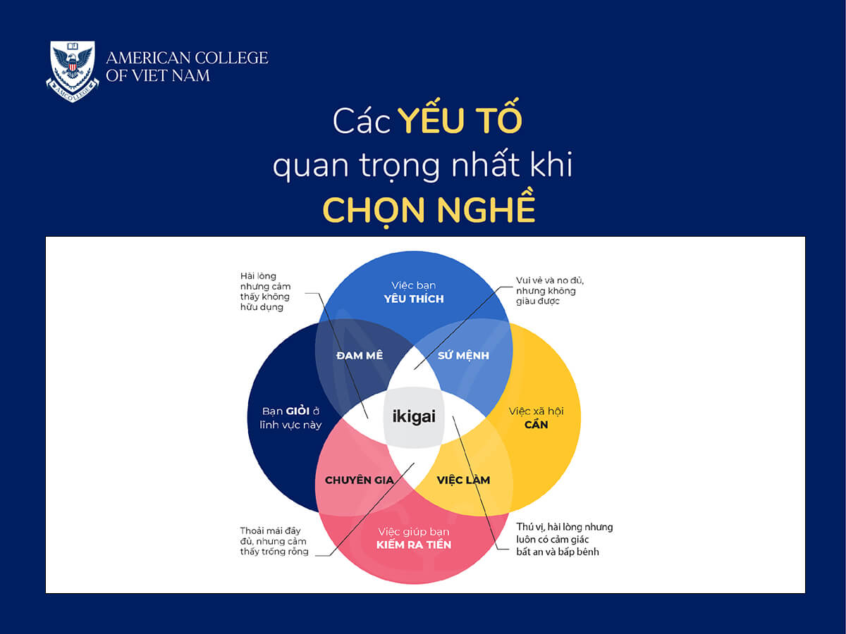 Giỏi là gì? Gallery 1