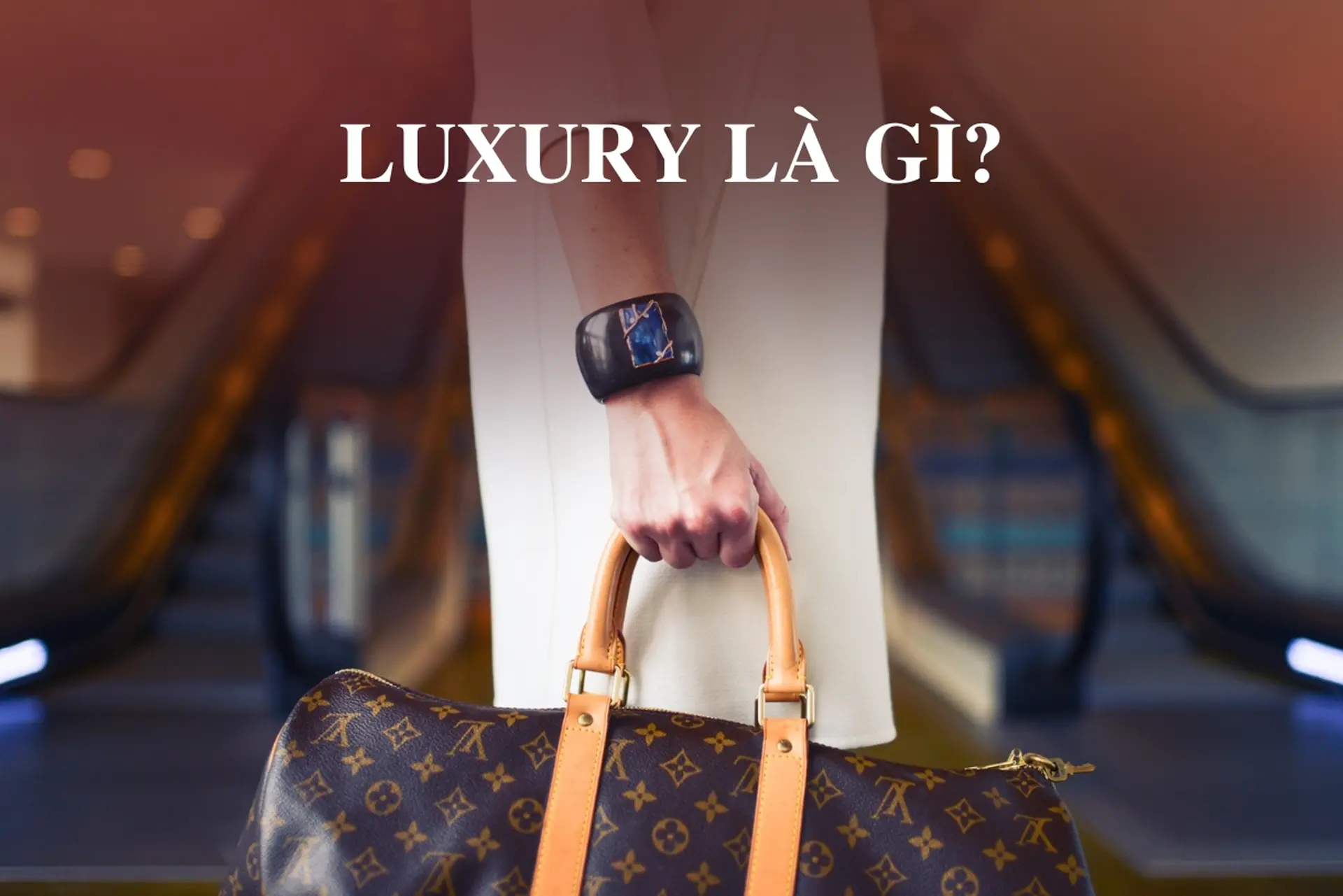 Sa xỉ là gì? Gallery 1