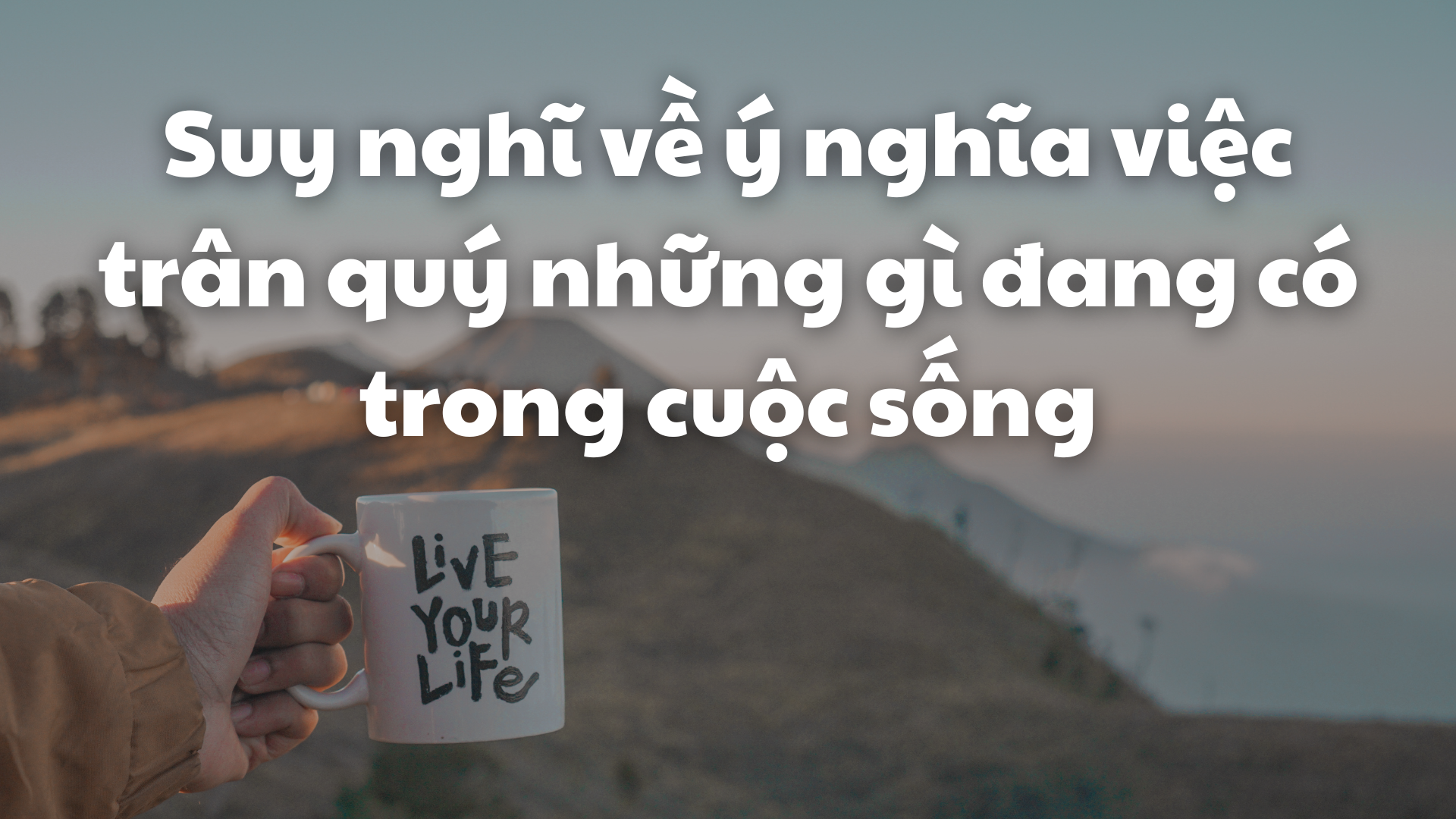 Trân quý nghĩa là gì? Gallery 1
