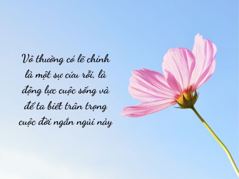 Trân thật là gì? Gallery 1