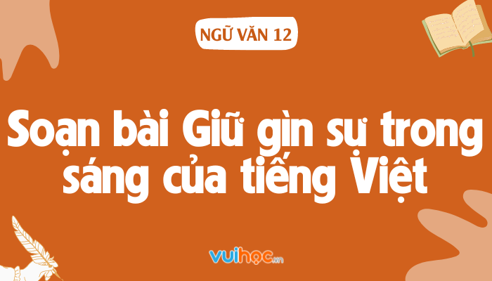 Sự Trong Sáng Của Tiếng Việt Là Gì? Gallery 1