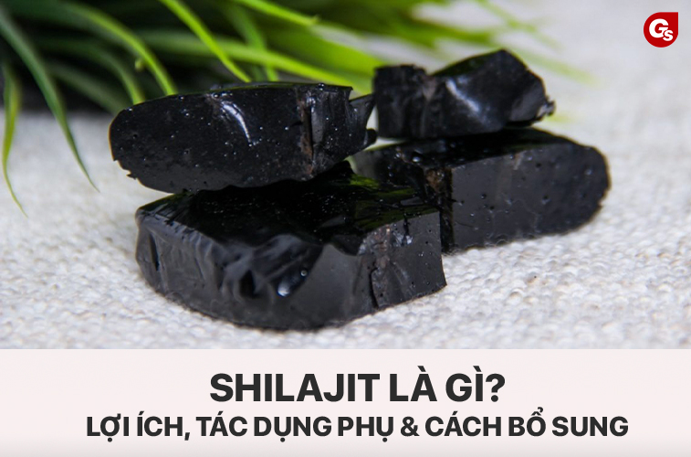 Sung Sức Nghĩa Là Gì? Gallery 1