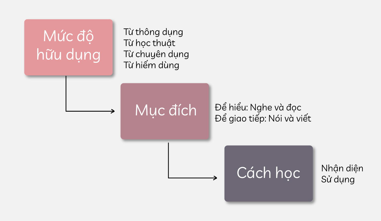 Thông dụng là gì? Gallery 1