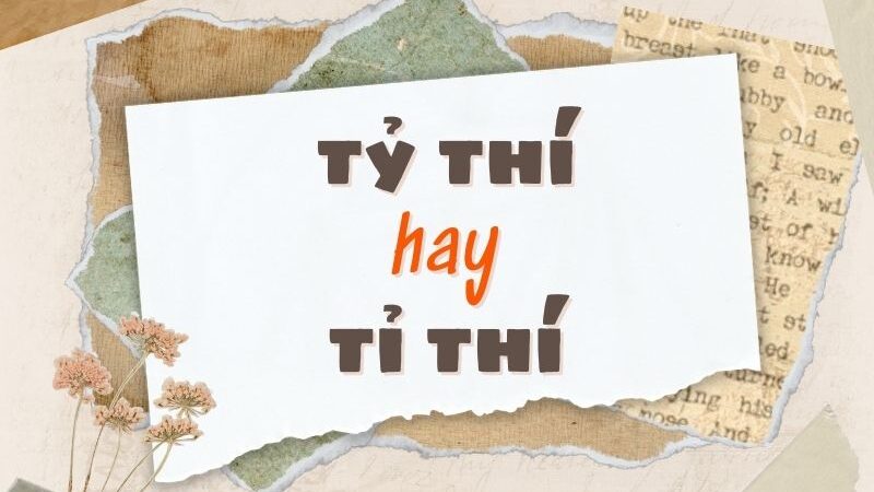 Tỉ Thí Là Gì? Giải Đáp Chi Tiết Về Tỉ Thí Gallery 2