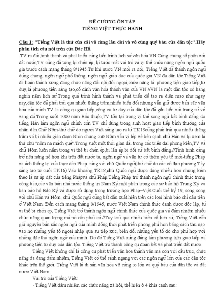 Tiếng Việt Thực Hành Là Gì? Gallery 1