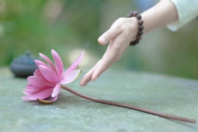 Tình Thương Là Gì? Gallery 1