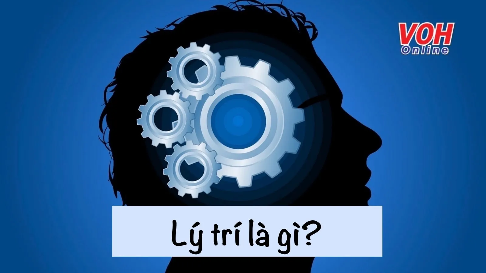 Trí Lý Là Gì? Gallery 1