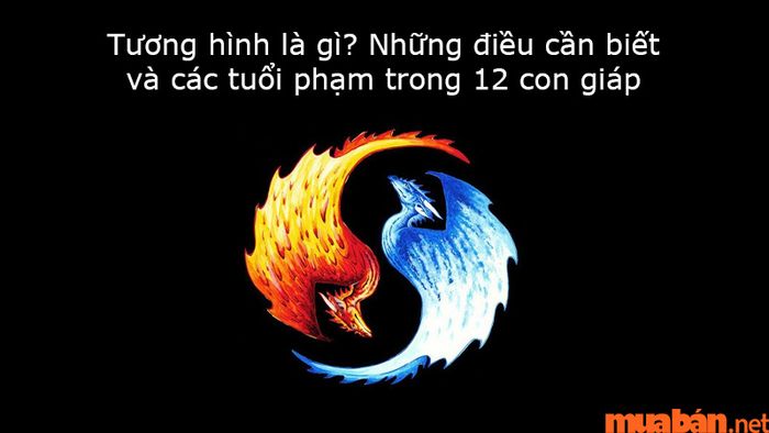 Tương Hình Nghĩa Là Gì? Gallery 1