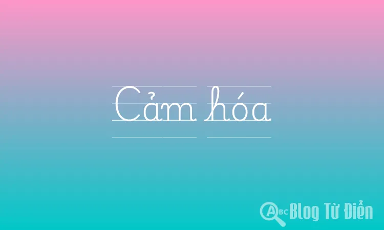 Cảm hóa nghĩa là gì? Gallery 1