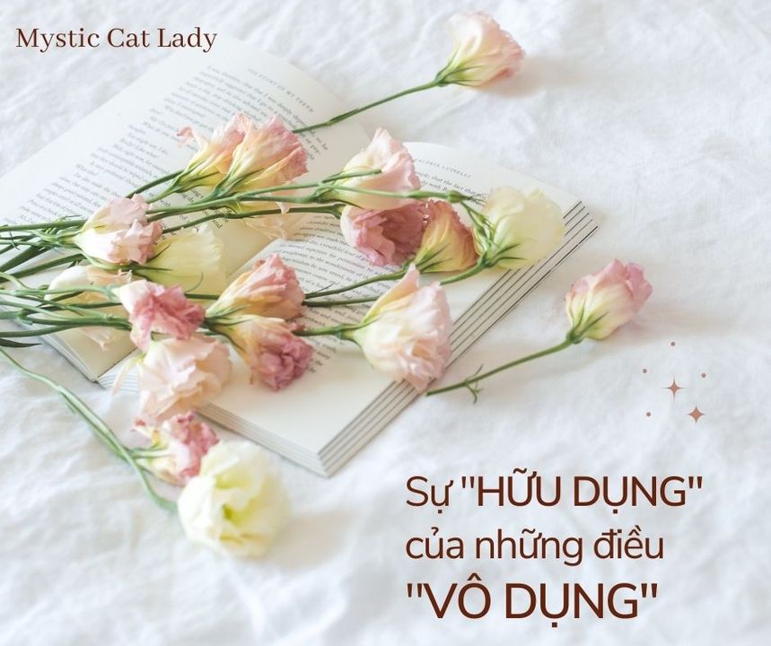 Vô dụng là gì? Gallery 1