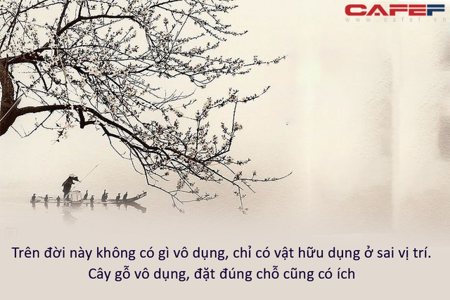 Vô dụng là gì? Gallery 1