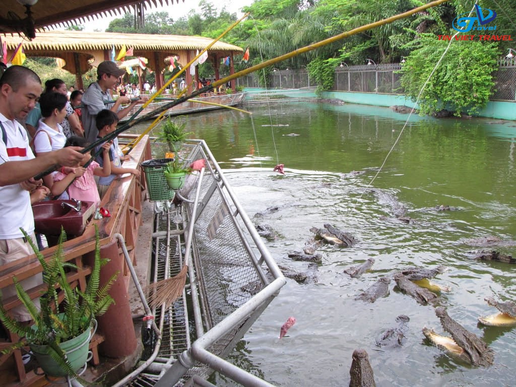 Suối Tiên Có Sở Thú Không? Gallery 1