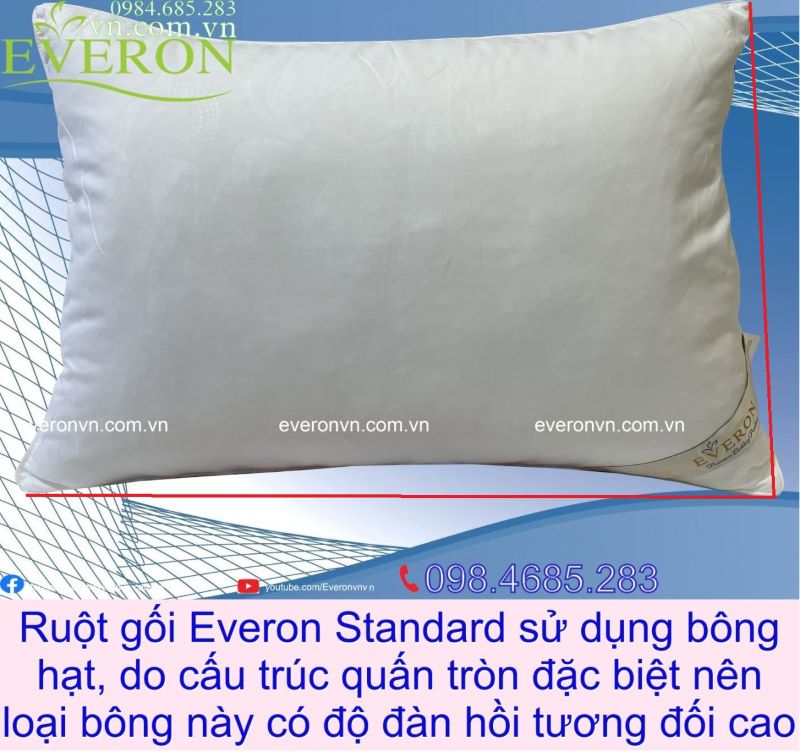 Kích thước vỏ gối nằm phổ biến hiện nay Gallery 1