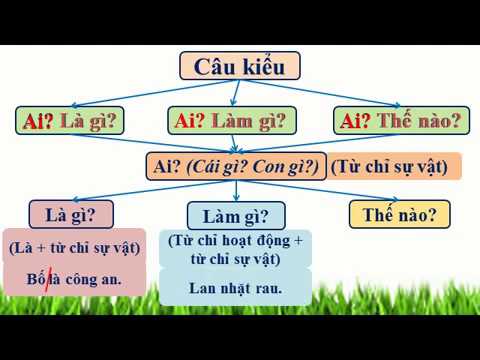 Các Kiểu Câu Lớp 2