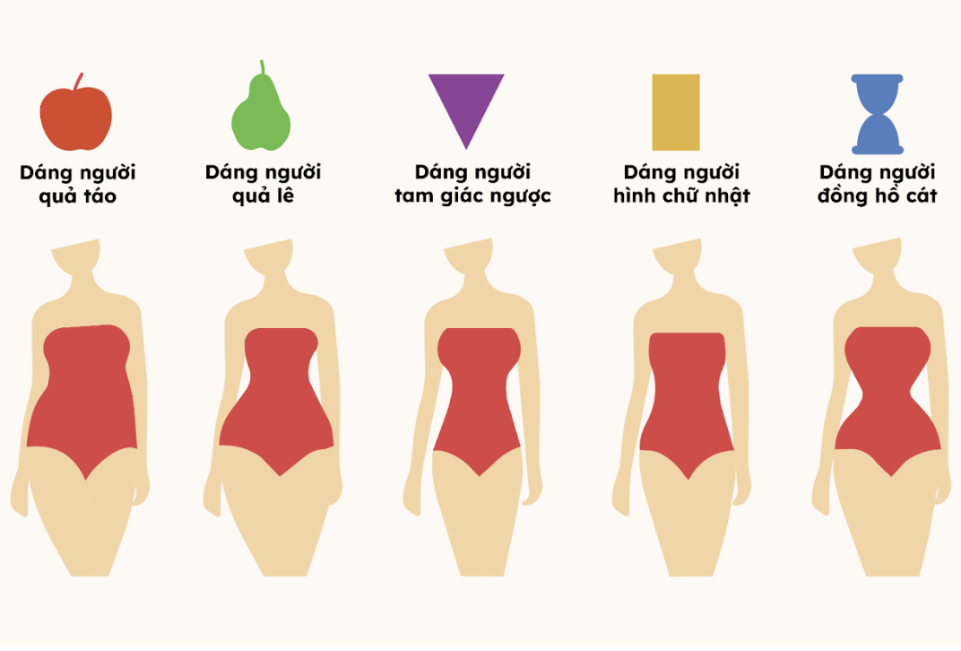 Các Kiểu Dáng Người: Hướng Dẫn Nhận Biết & Lựa Chọn Trang Phục Phù Hợp Gallery 1