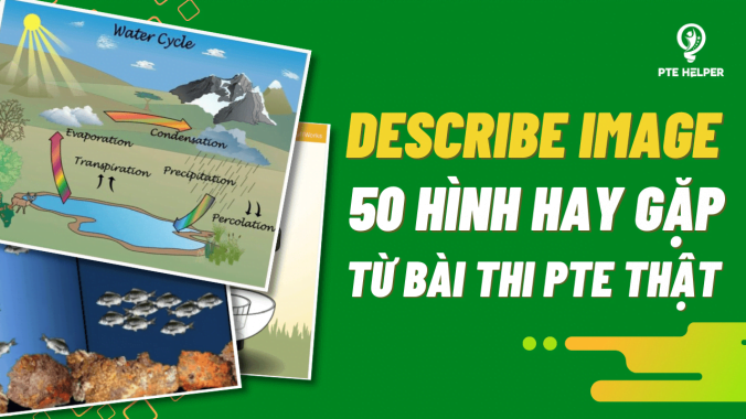 Hình Ảnh Bài Thi: Hướng Dẫn Chi Tiết & Lưu Ý Quan Trọng Gallery 1