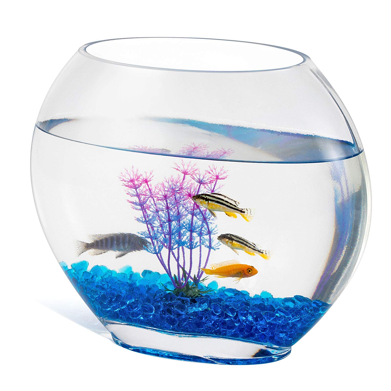 Bể Cá Cảnh Đẹp: Tạo nên không gian sống thư thái và ấn tượng Gallery 1