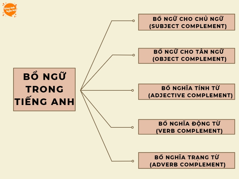 Bổ Ngữ Tiếng Việt: Định Nghĩa, Ví Dụ và Cách Sử Dụng Gallery 1
