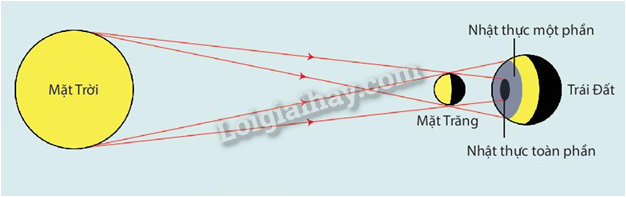 Bóng tối là gì? Gallery 2