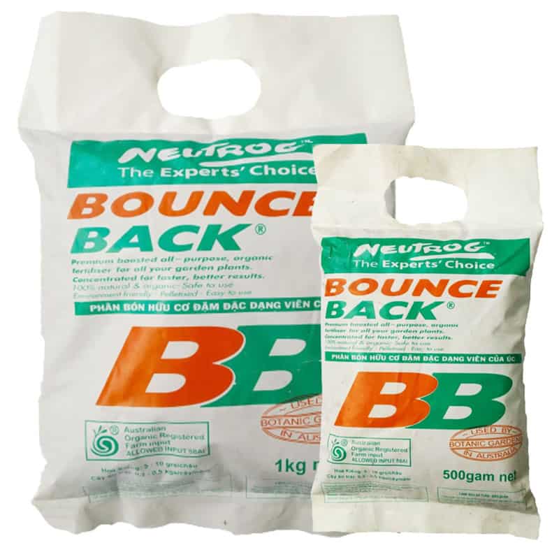 Bounce Back Là Gì? Gallery 1