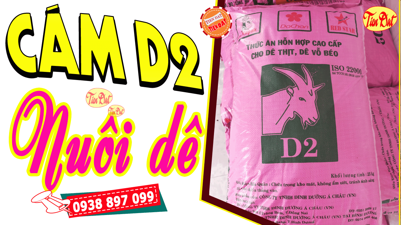 Các Loại Cám Dê Phù Hợp Cho Dê Của Bạn