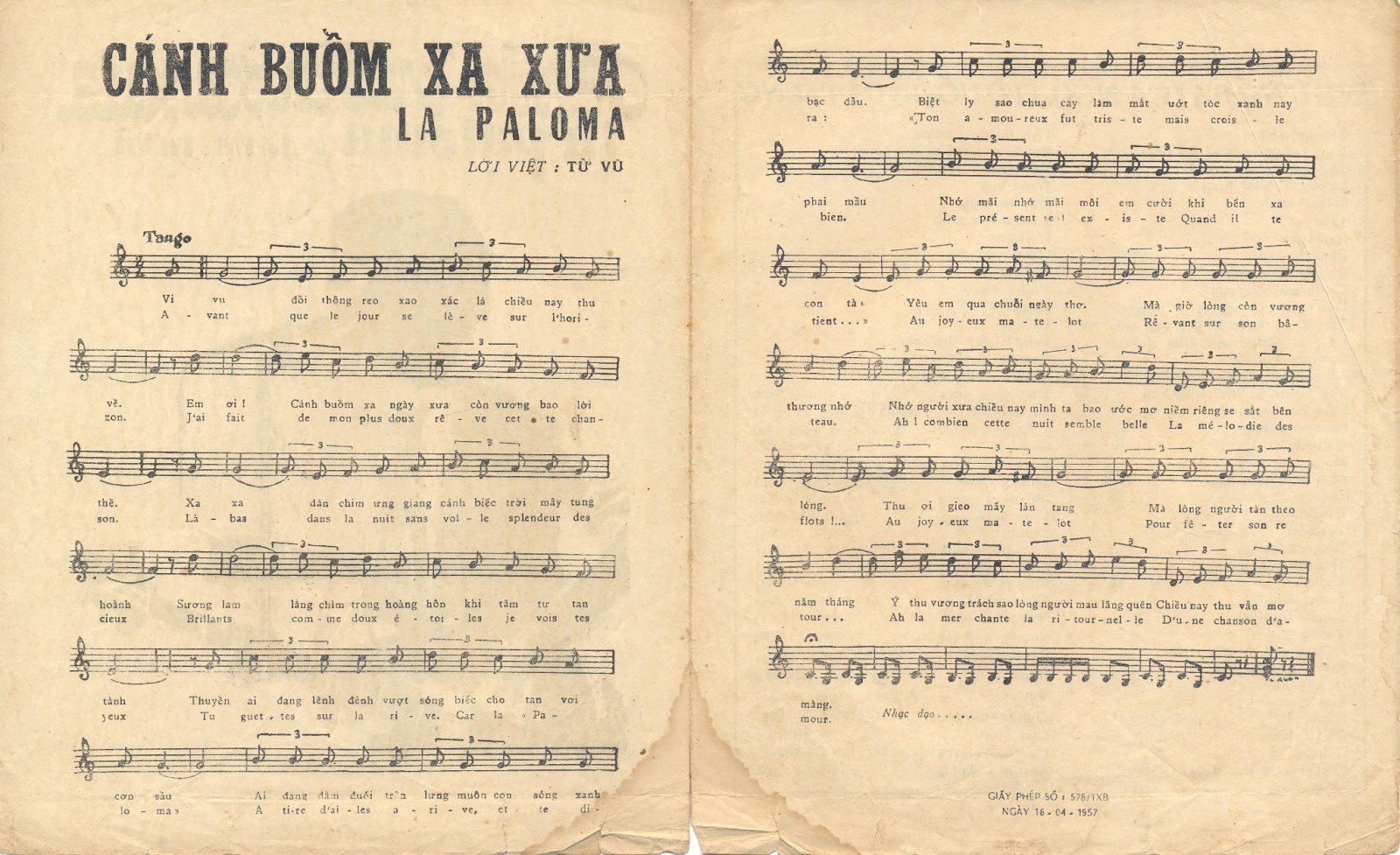 Cánh Buồm Xa Xưa Gallery 2
