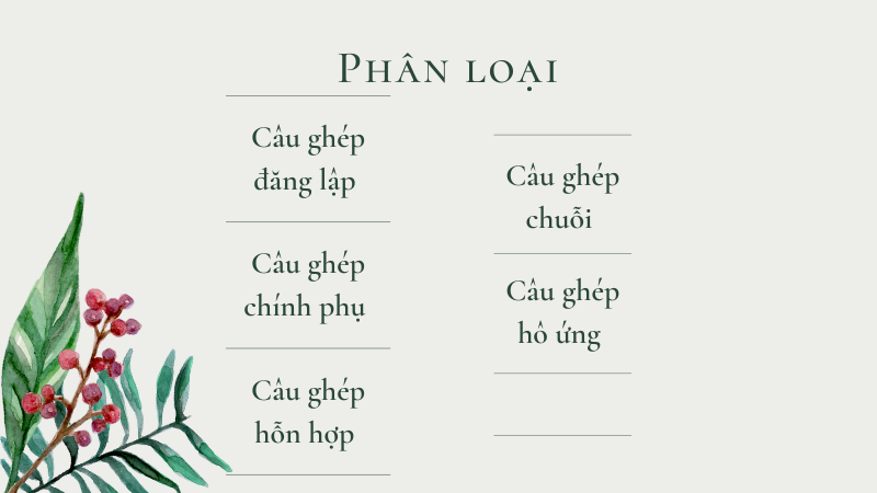Các Loại Câu Ghép Trong Tiếng Việt Gallery 2