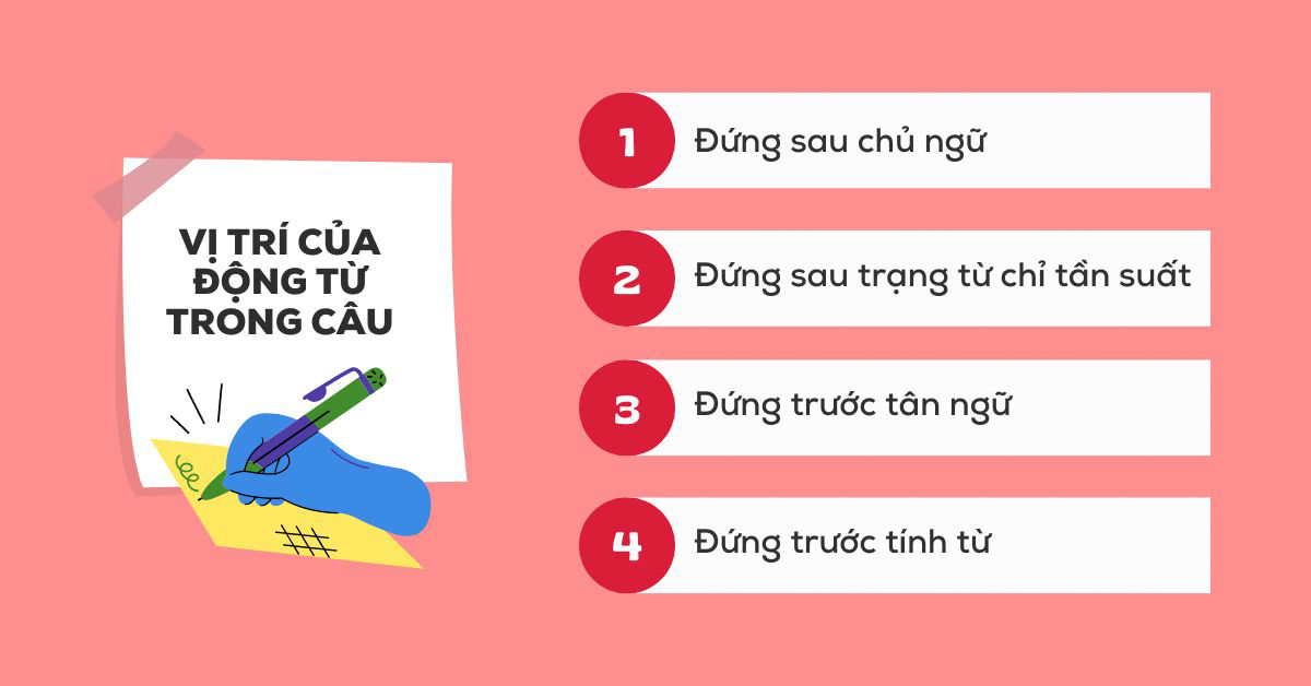 Vị trí của các từ loại trong câu Gallery 1