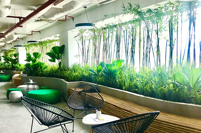 Những Cây Cảnh Đẹp Làm Đẹp Không Gian Sống Của Bạn Gallery 1