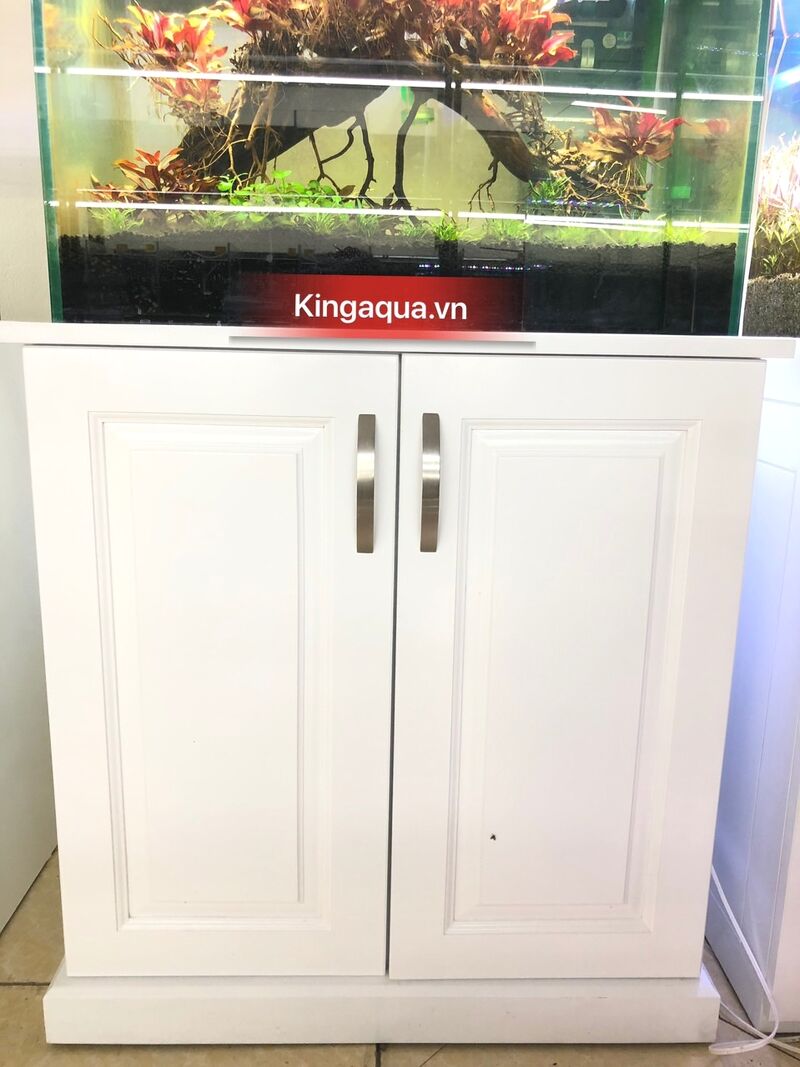 Chân Tủ Bể Cá: Giải Pháp Hoàn Hảo Cho Hệ Thống Bể Cá Của Bạn Gallery 1