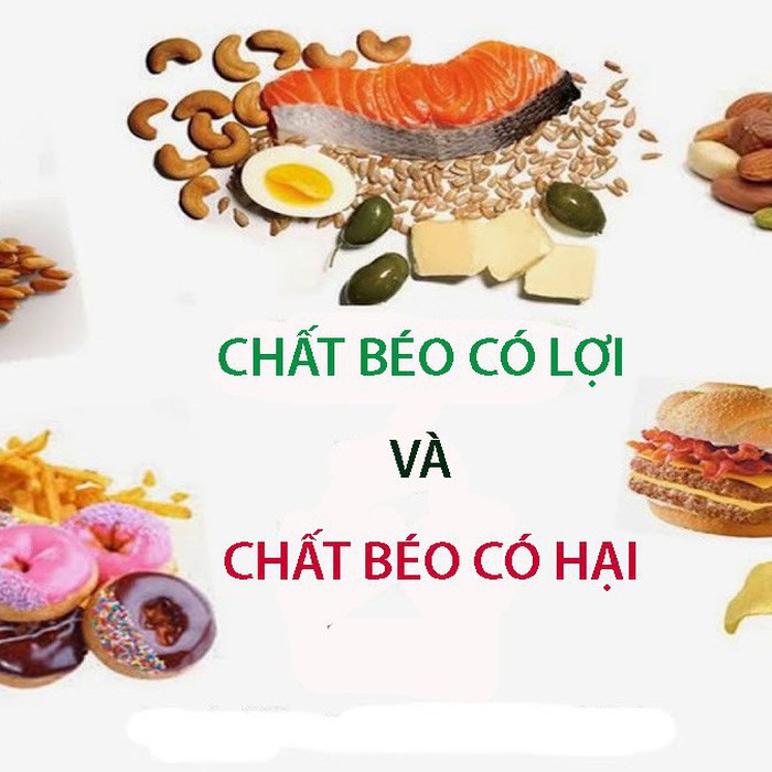 Chất béo có ở đâu? Gallery 2
