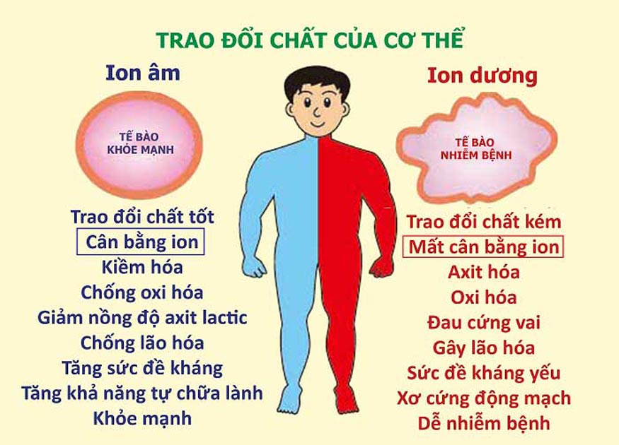 Chế độ ion là gì? Gallery 1