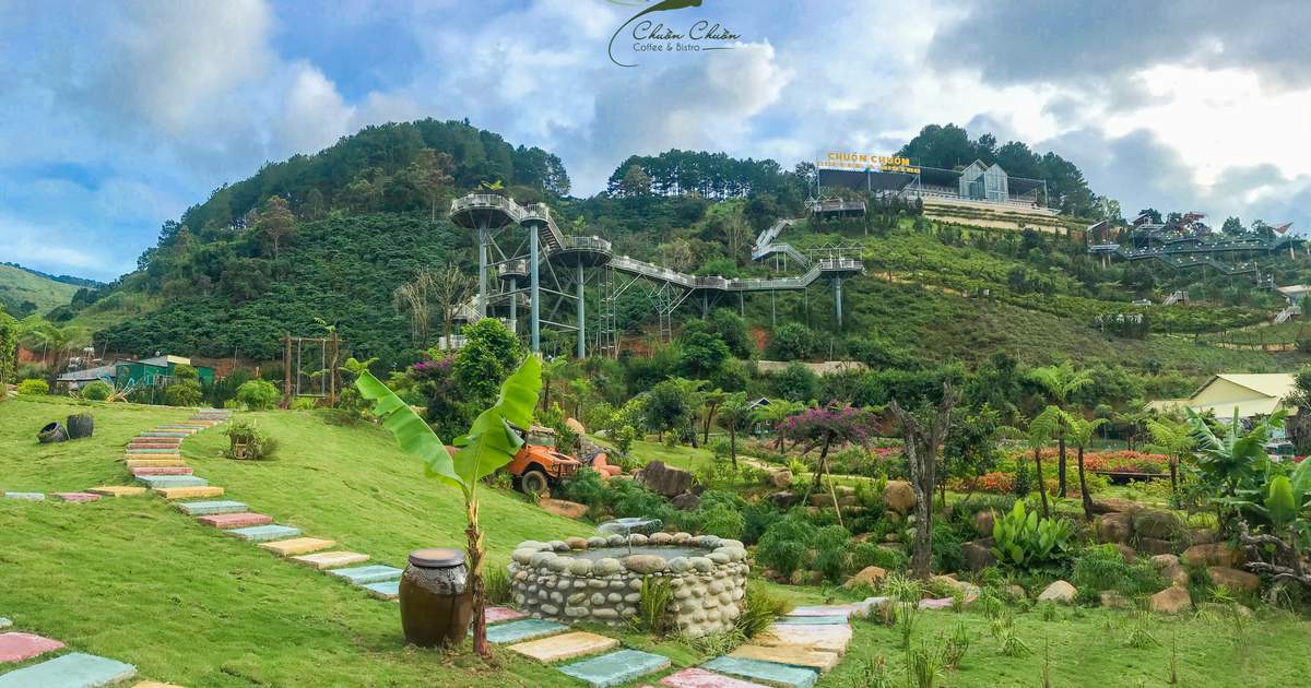 Chuồn Chuồn Đà Lạt: Khám Phá Thế Giới Cánh Ngân Tại Thành Phố Mù Sương Gallery 1