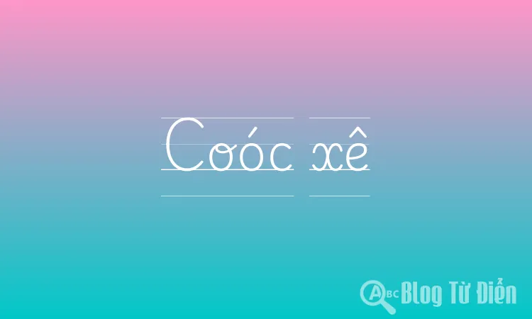 Cooc Xê Là Gì? Gallery 1