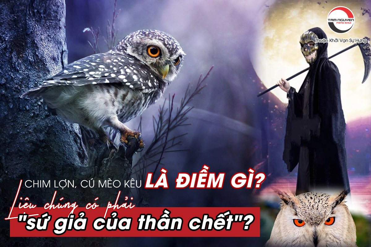 Cù Lẳng Người La Gì? Gallery 2