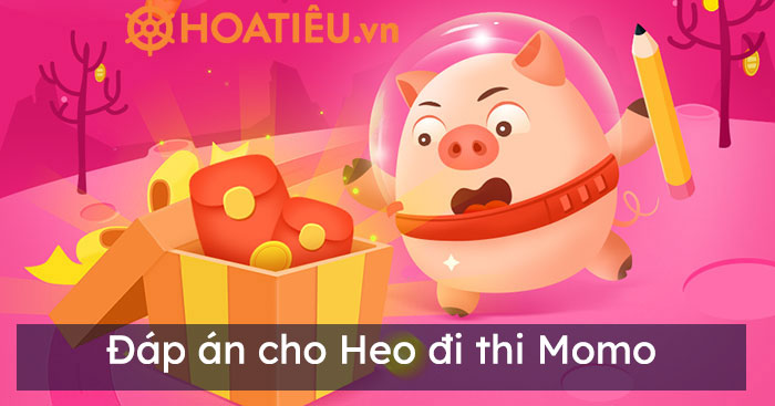 Cho Heo Đi Thi Gallery 1