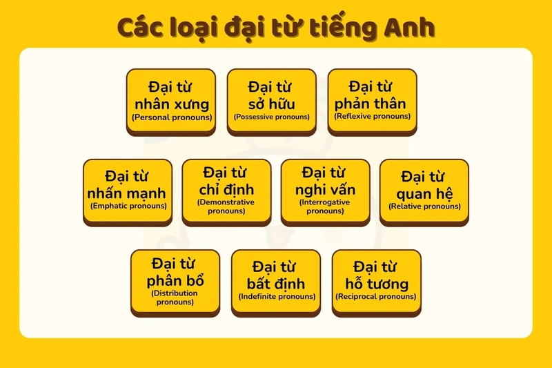 Đại Từ Là Gì? Gallery 1