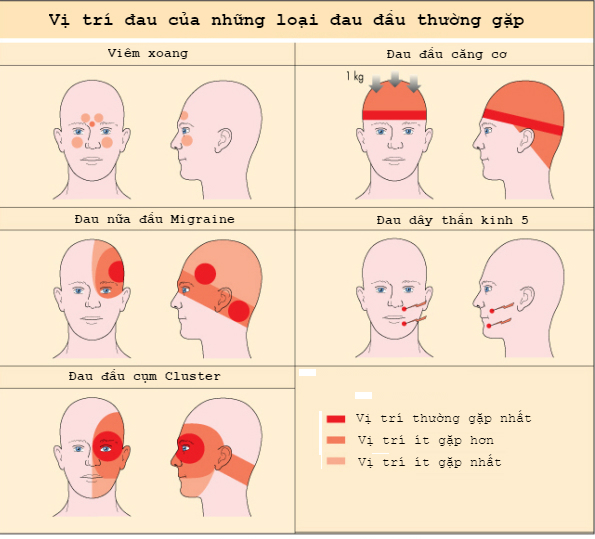 Có Đớn Đau Nào? Gallery 1