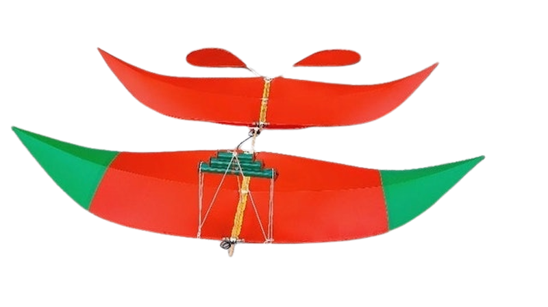 Các Loại Diều Đẹp