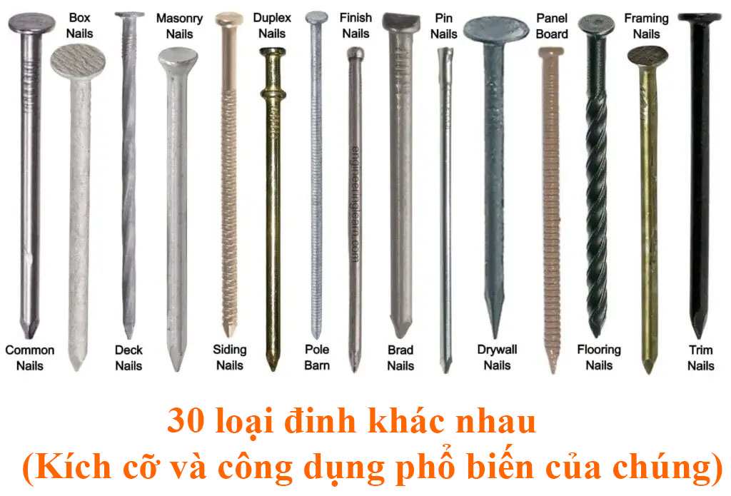 Đinh Thép Đóng Tường: Hướng Dẫn Chọn Mua & Sử Dụng Gallery 1