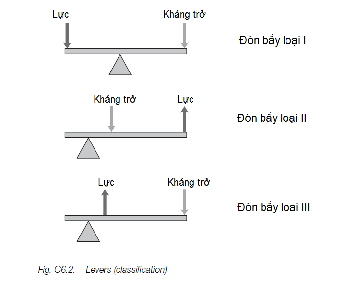 Đòn Bẩy Là Gì? Gallery 1