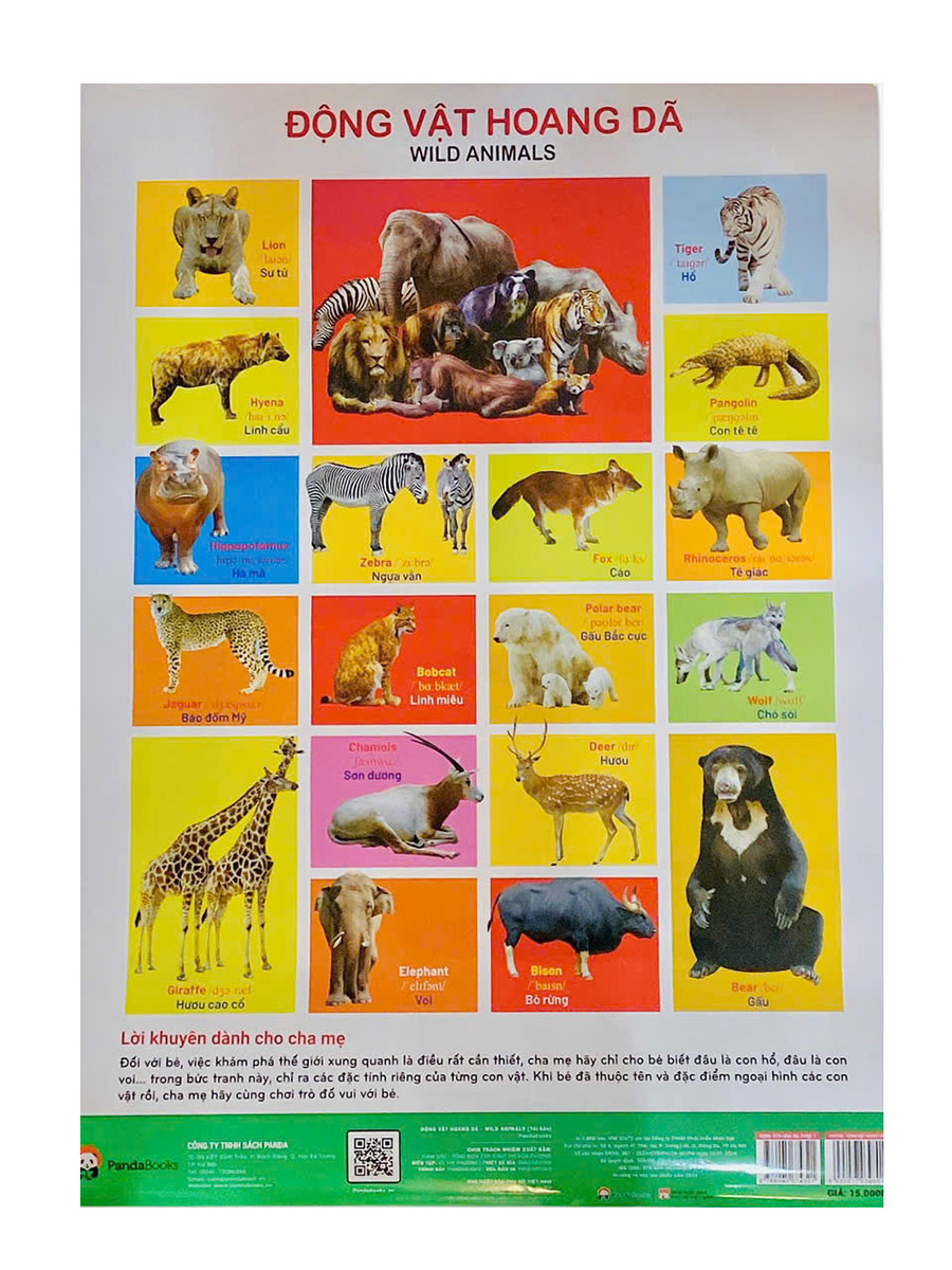 Những Điều Cần Biết Về Động Vật Hoang Dã Gallery 1