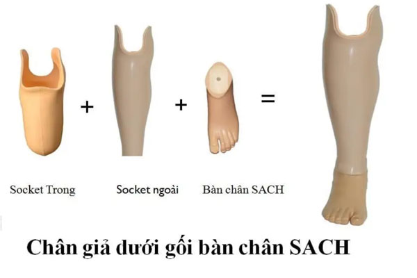 Giả Chân Có Nghĩa Là Gì? Gallery 1