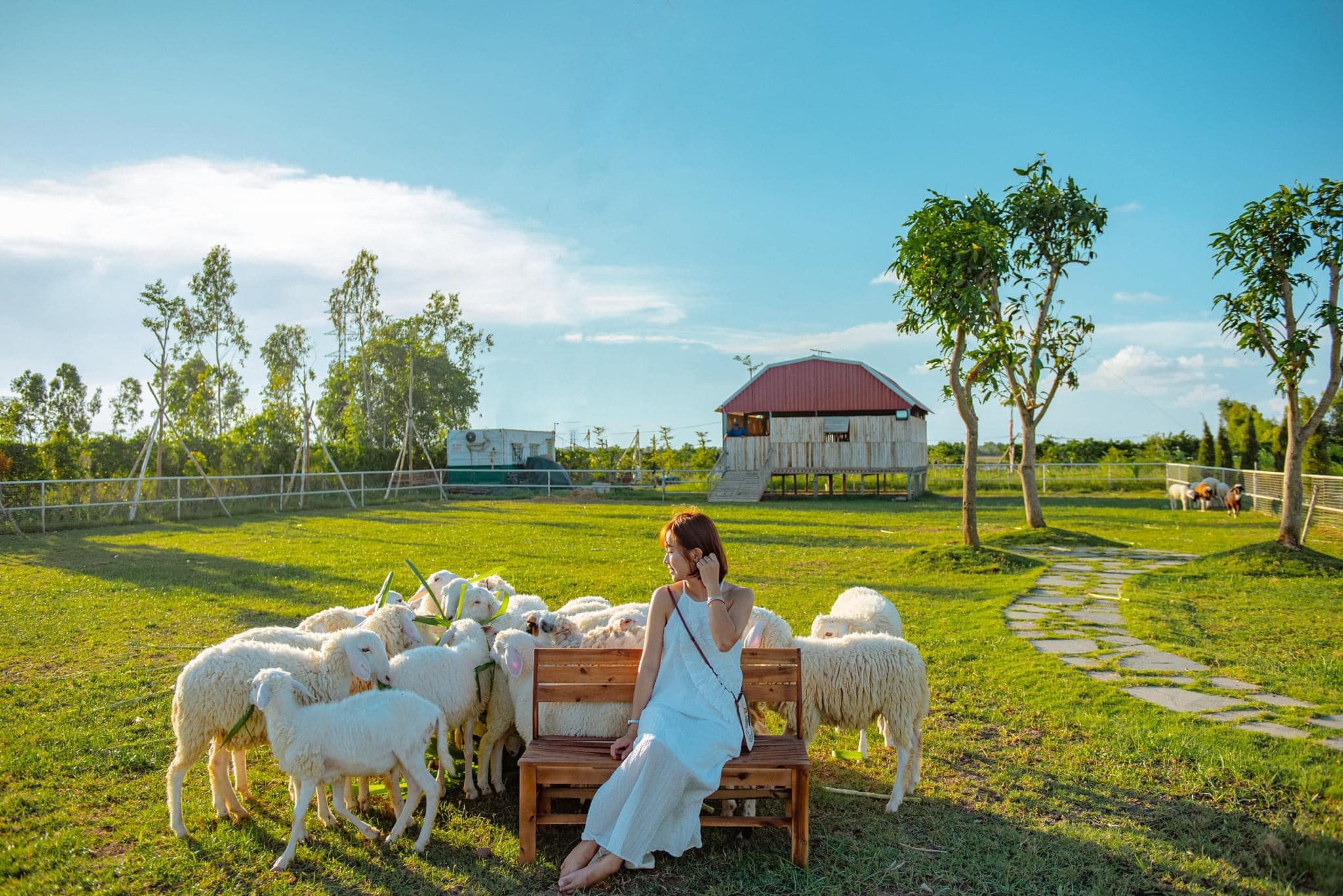 Trang Trãi: Khám Phá Thế Giới Trải Nghiệm Tuyệt Vời Gallery 1