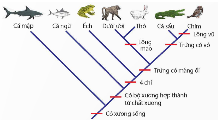 Trông Chừng Là Gì? Định Nghĩa, Vai Trò Và Những Điều Cần Biết Gallery 1