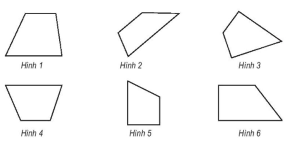 Hình chữ nhật có phải là hình tứ giác không? Gallery 2