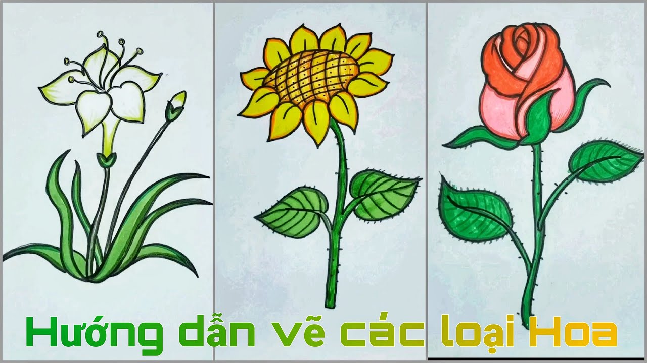 Hướng dẫn vẽ bông hoa Gallery 2