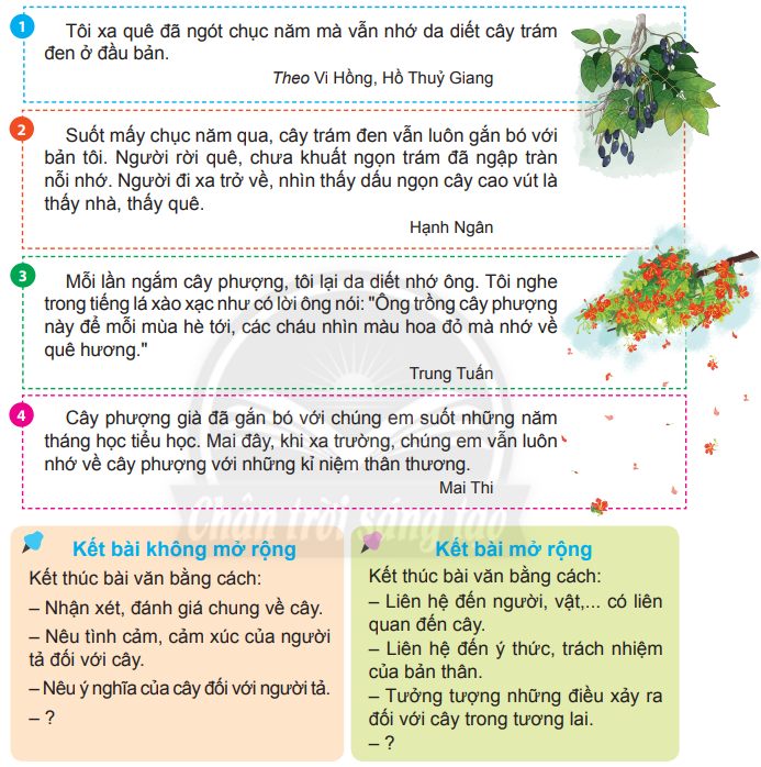 Những Kết Bài Hay: Bí Quyết Để Lại Ấn Tượng Khó Quên Gallery 1