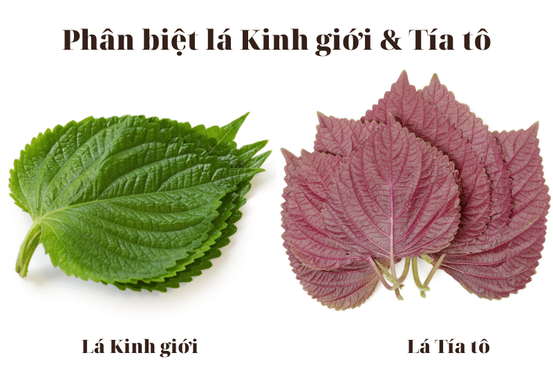 Kinh Gọi Là Gì? Khám Phá Ý Nghĩa Và Ứng Dụng Gallery 2