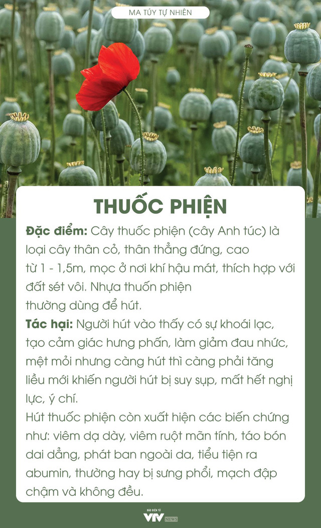 Làm Ma Là Gì? Tất Cả Những Điều Bạn Cần Biết Gallery 1